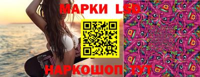 прущие крисы Ипатово