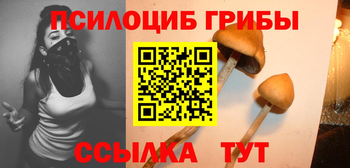 Псилоцибиновые грибы прущие грибы Краснознаменск